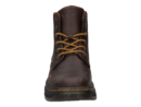 Dr Martens boots bruin