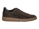 Floris Van Bommel sneaker brown