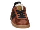 Rondinella sneaker brown