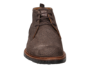 Floris Van Bommel bottines taupe