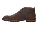 Floris Van Bommel bottines taupe